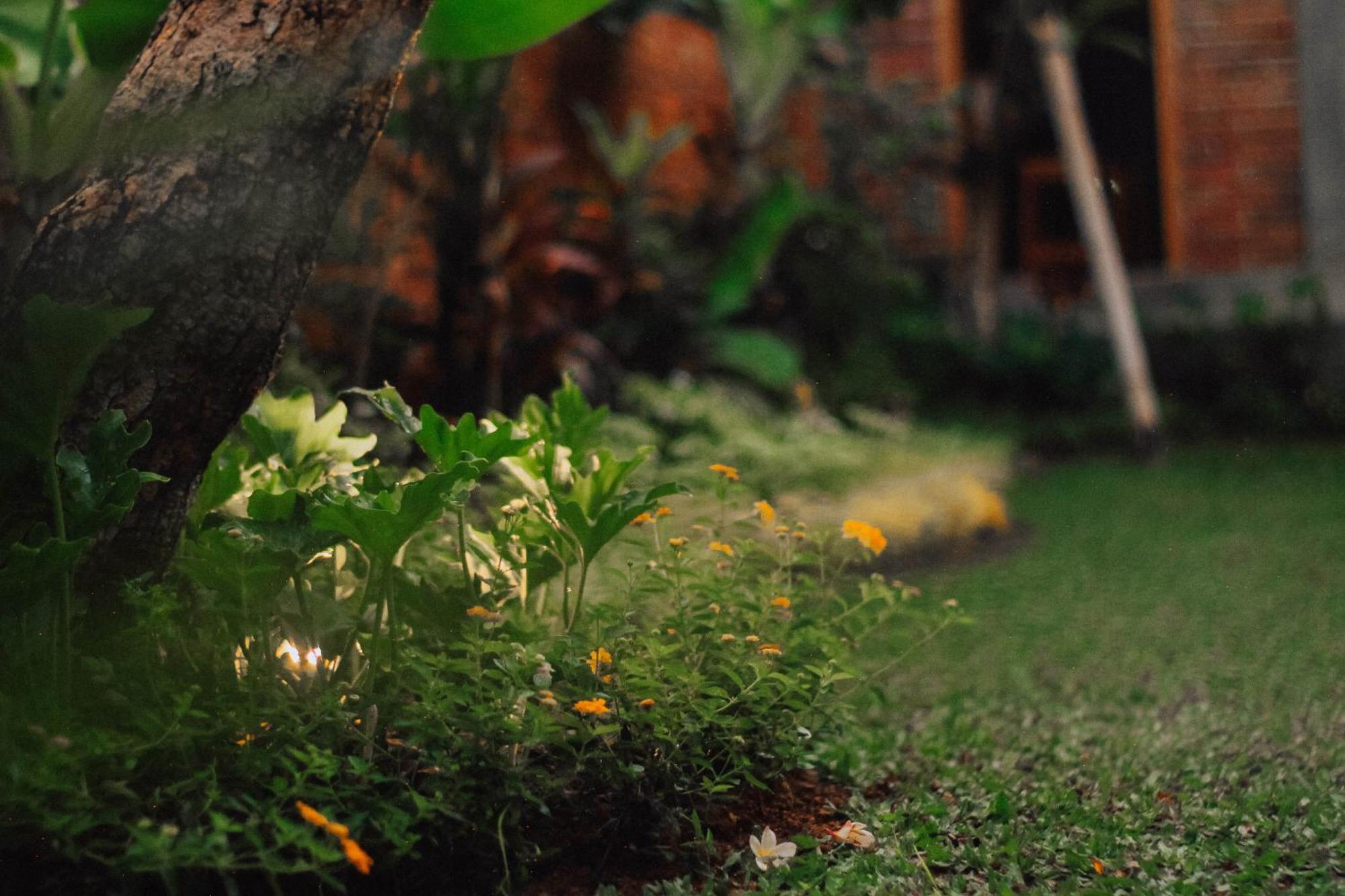 The Govardhan Homestay Canggu Exteriér fotografie